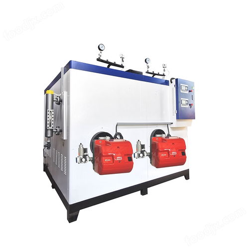 高效節能的食品發酵加熱方案 500kg燃氣蒸汽發生器與加藥泵的協同應用